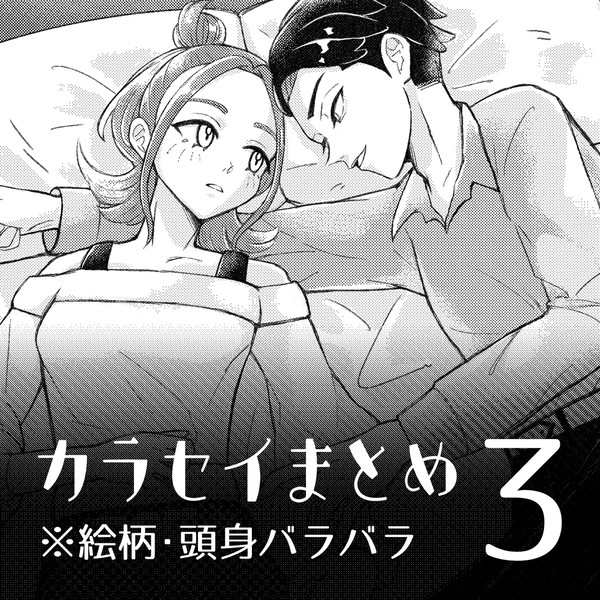 カラセイまとめ3