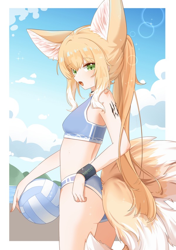 volleyball