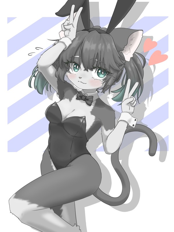バニーガールねこ