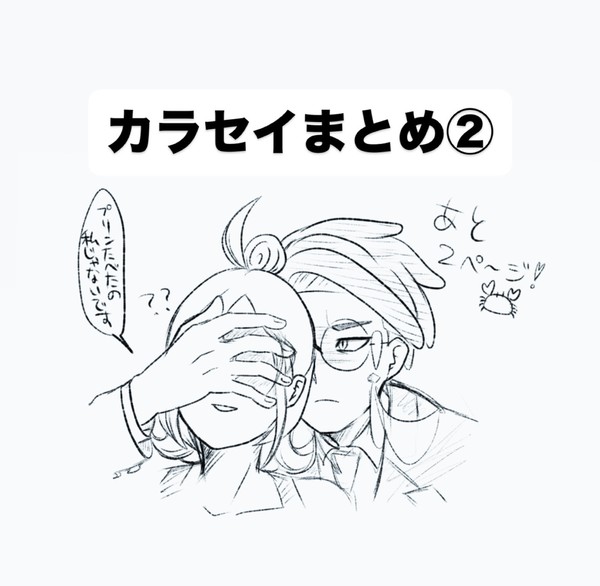 カラセイまとめ②