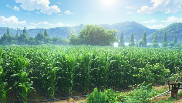 [時間差分アリ]トウモロコシ畑の風景2 - 1/14
