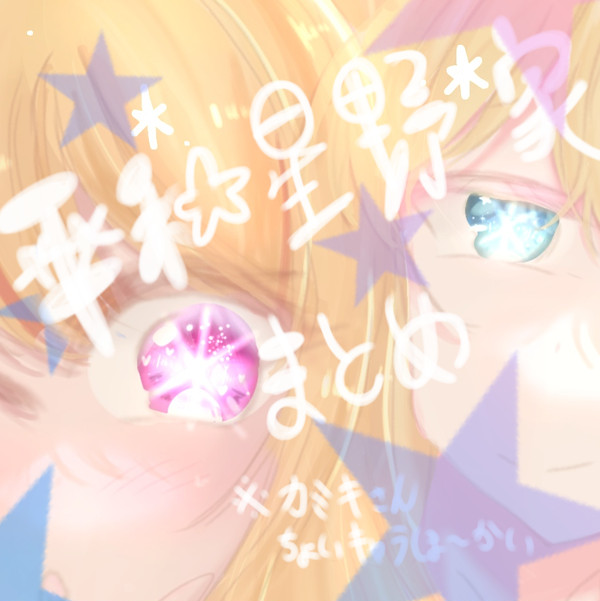 だいぶ昔の星野家まとめ