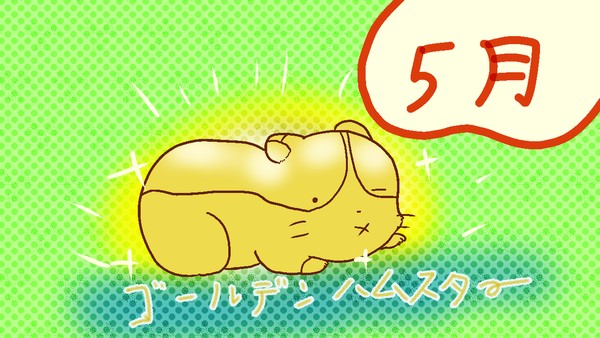 ゴールデンハムスター