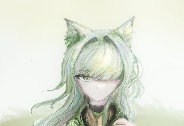 猫 - 1/1