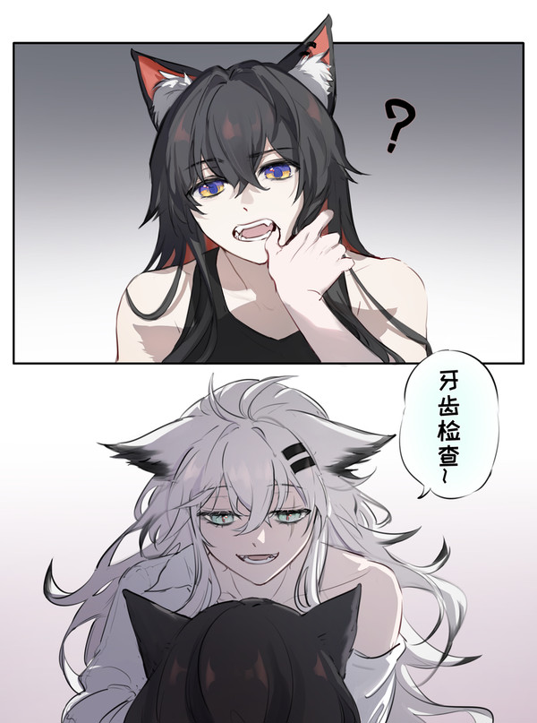 双狼