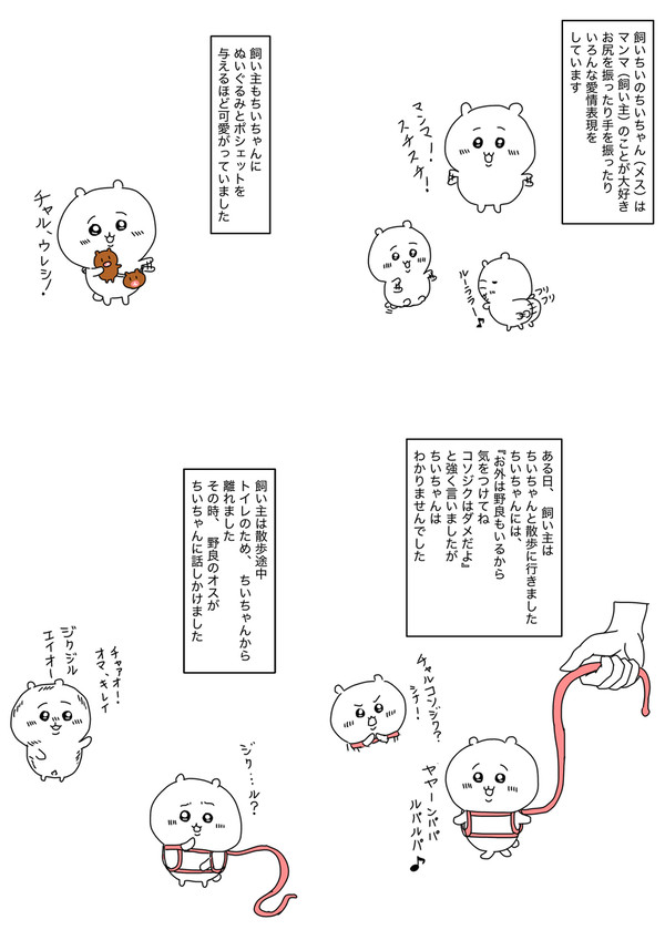選択肢