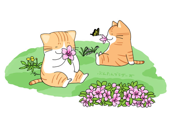 ツツジ