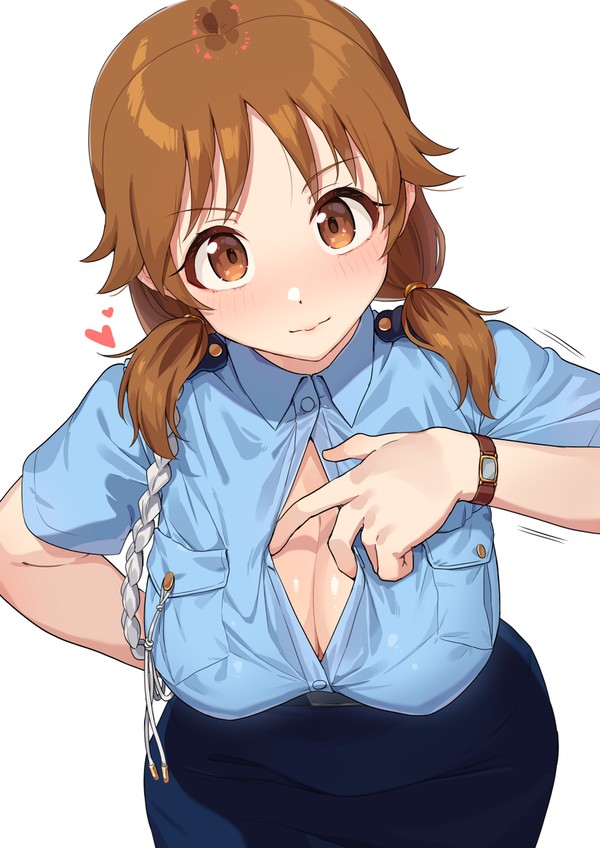 早苗さんの逮捕ポケット