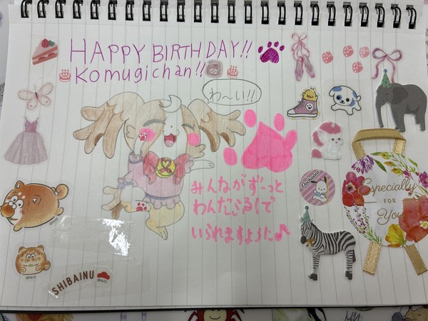 🎂🎉🍪🐾🐶こむぎちゃんへ🤎💗👟🎀📮