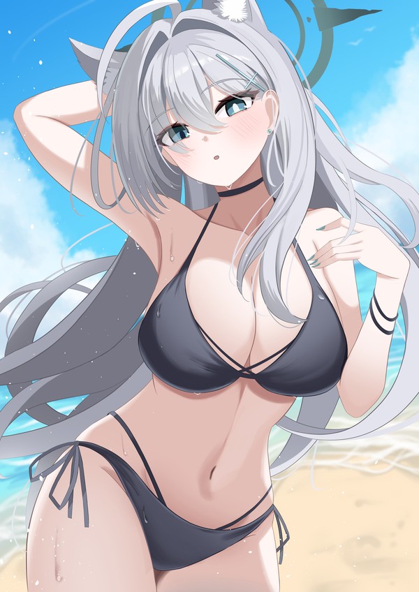 黒ビキニシロコテラー