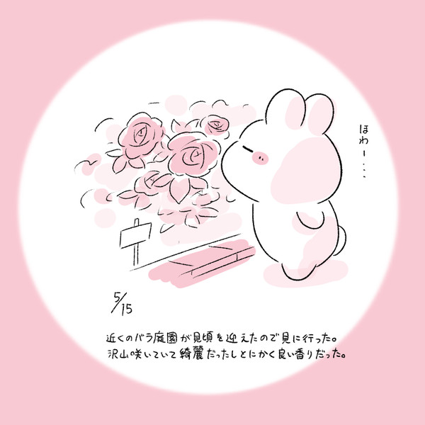 今日の日記 - 1/1
