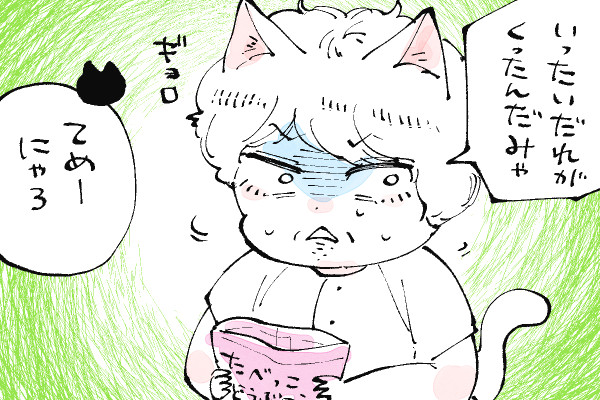 キラキラにゃんこ生活