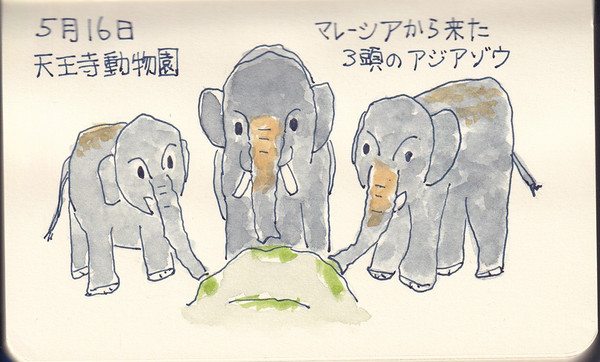 アジアゾウ