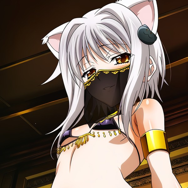 【販売中】塔城小猫 アラビアン