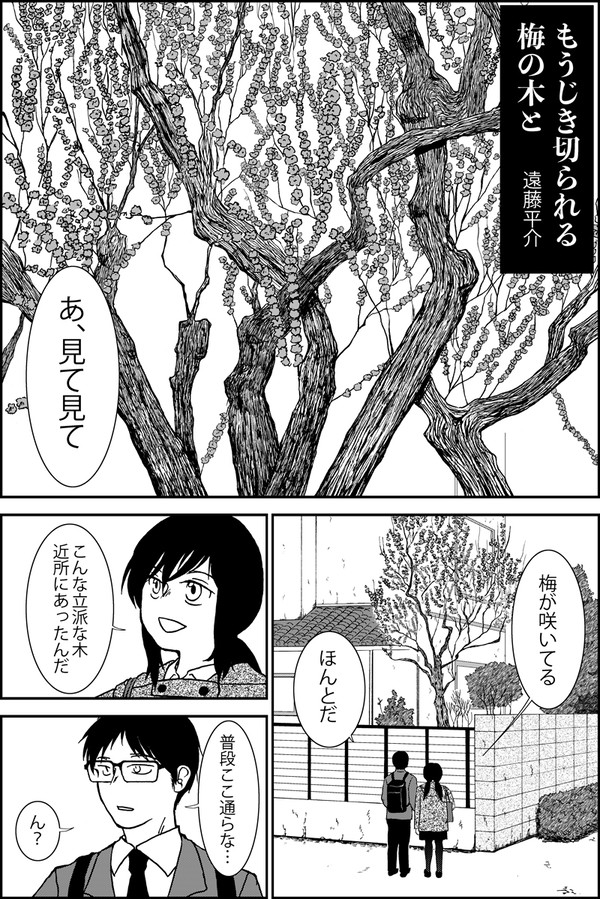もうじき切られる梅の木と - 1/12