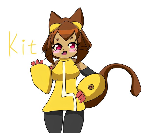 Kitちゃァァァァァん!!!!!!!!