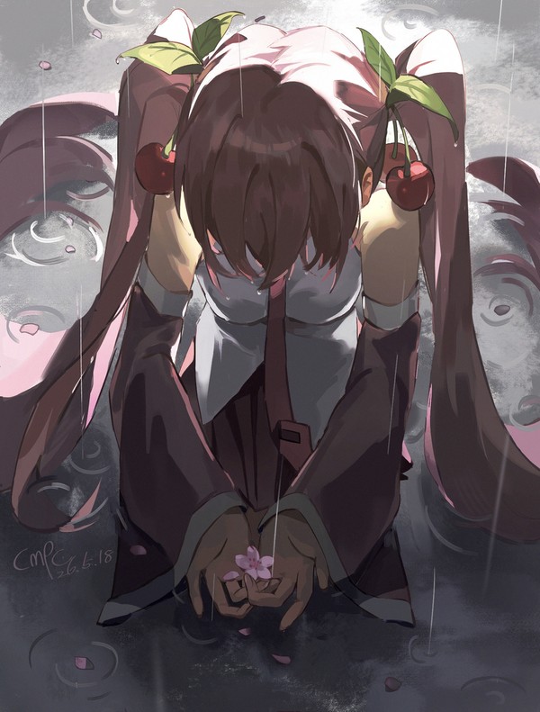 🌸 - 1/1