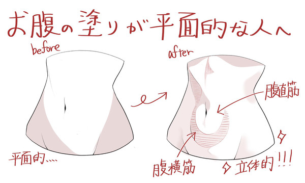 お腹の塗りが平面的な人へ