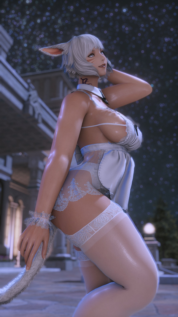 Kitty Maid