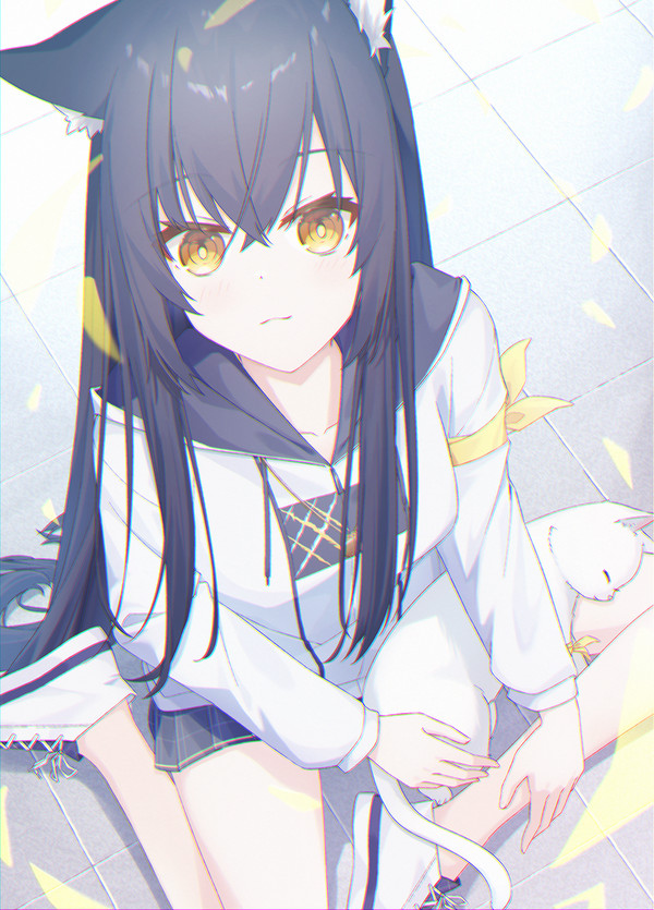 黒猫と白猫 - 1/1
