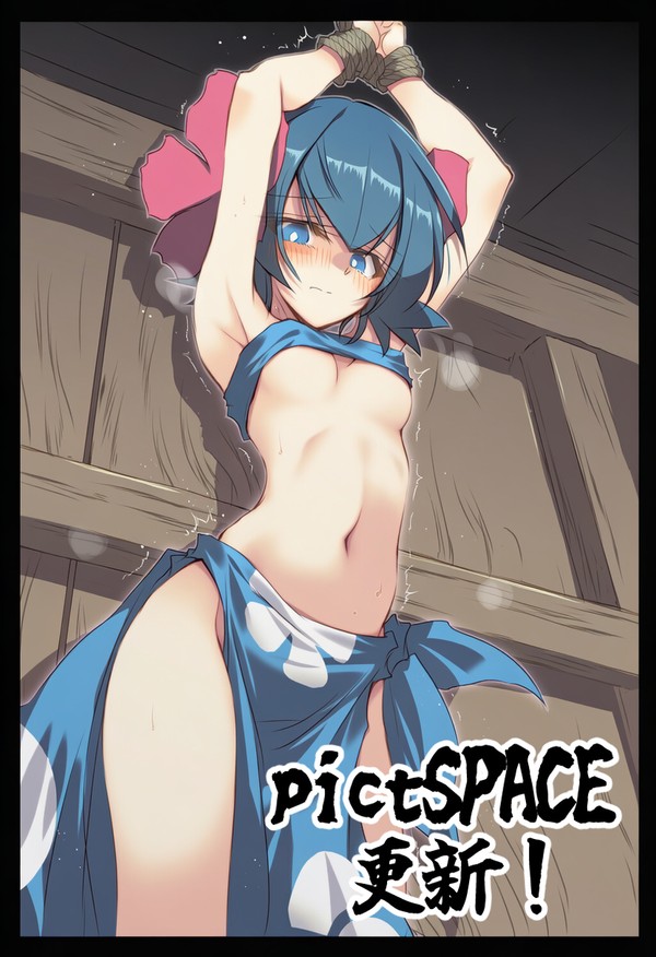 ~pictSPACE更新のお知らせ~