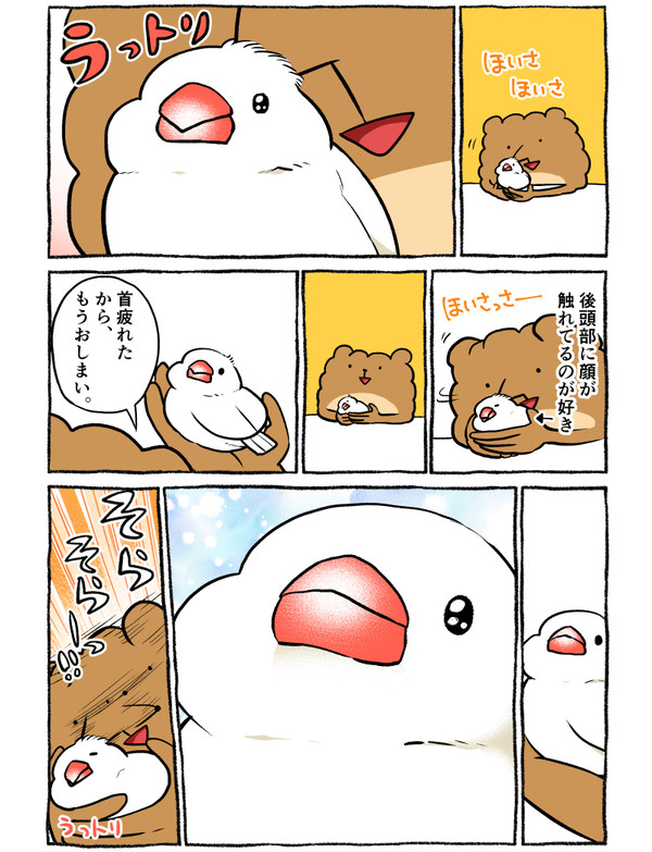 ほいさっさー - 1/1