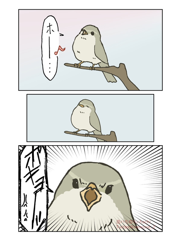 昔近所にいた最悪のウグイス