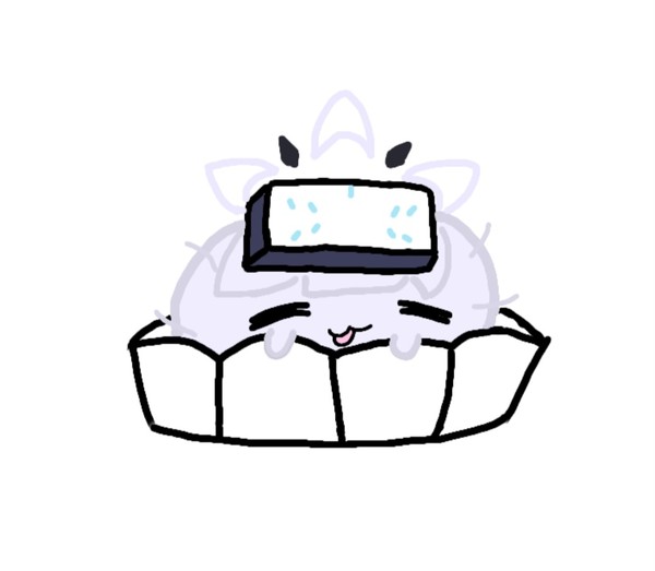 히(마리) 쫀득 쿠키