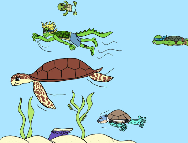 Happy World Turtle day 2026
