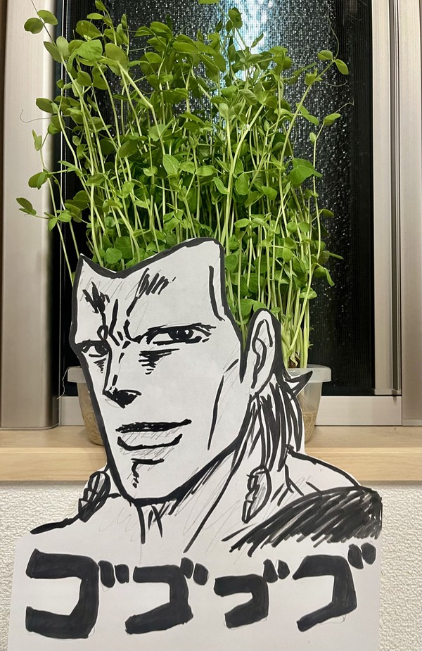 豆苗化するポルナレフ