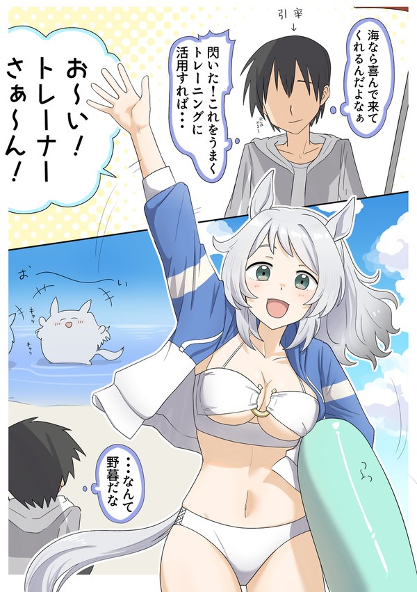 海