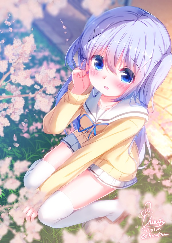 桜チノちゃん🌸 - 1/1