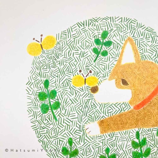 みどりの芝生と柴犬