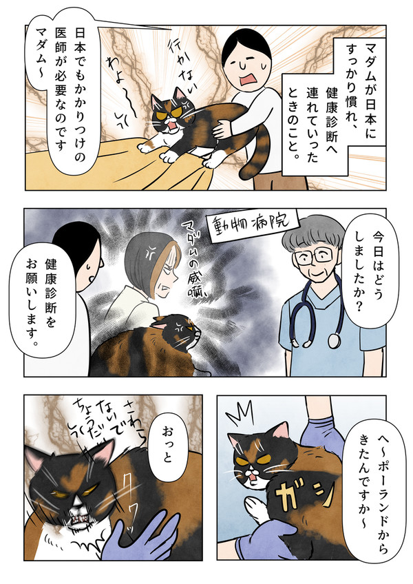 マダム、日本でのかかりつけ医師を探す🌹 - 1/2
