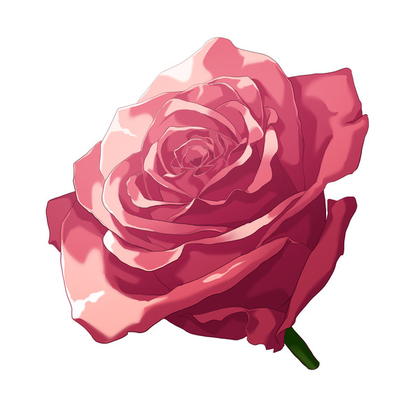 【着彩メイキング】薔薇 - 1/97