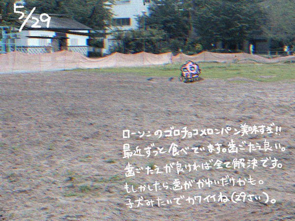 5/29