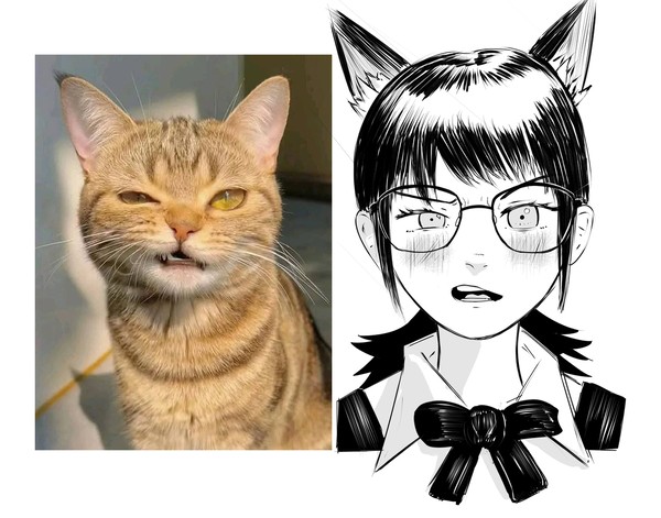 Asa kitty expression