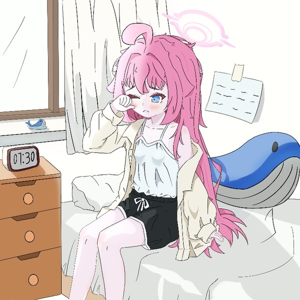 小鳥遊ホシノ