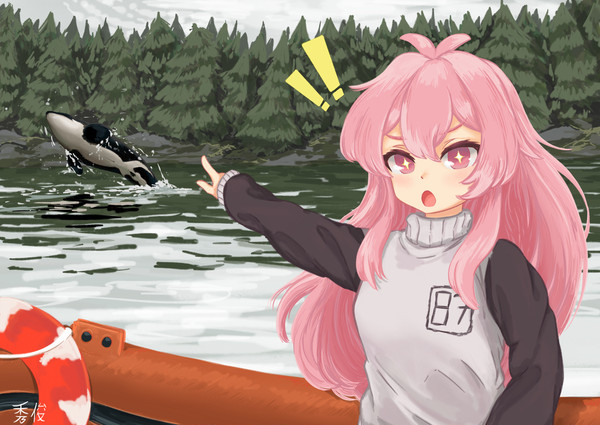 Shachimu spotting an orca