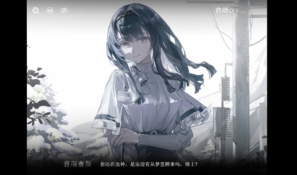 普瑞赛斯
