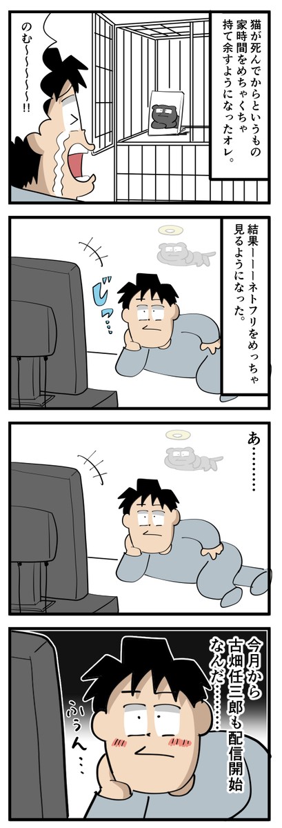 ネトフリで無限に時間を溶かすようになった話