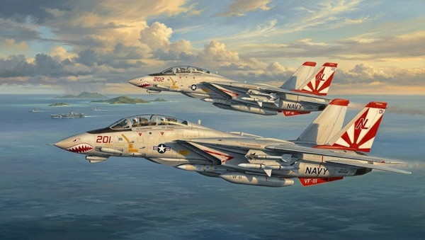 サンダウナーズ編隊 : F-14トムキャット