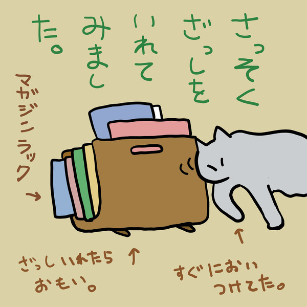 その後のマガジンラックと猫 - 1/1