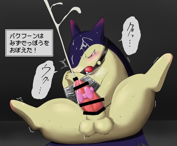 わざマシン12の実態
