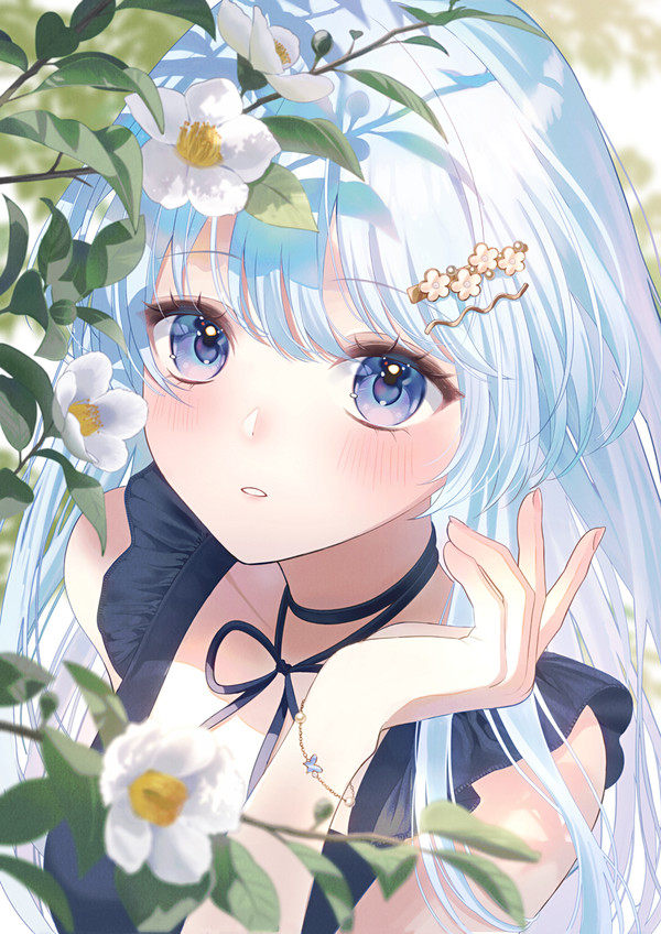 夏椿 - 1/1