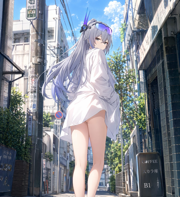 银狼