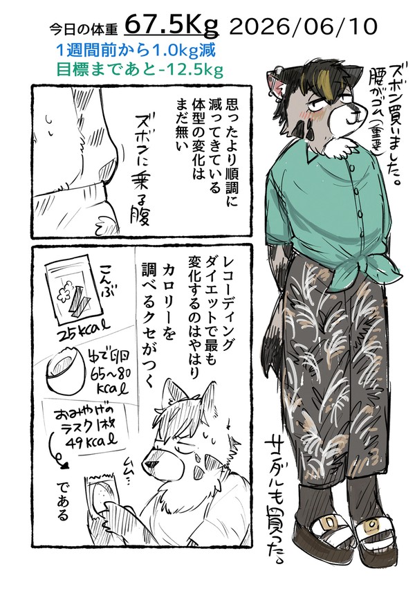ダイエット日記②2026/06/10 - 1/4