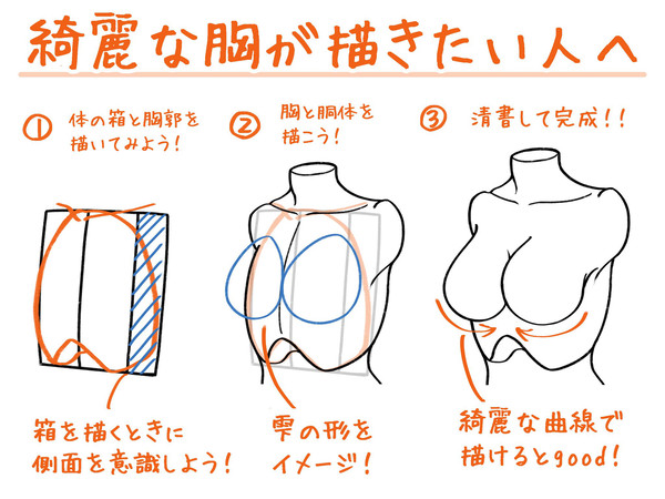 綺麗な胸が描きたい人へ - 1/1