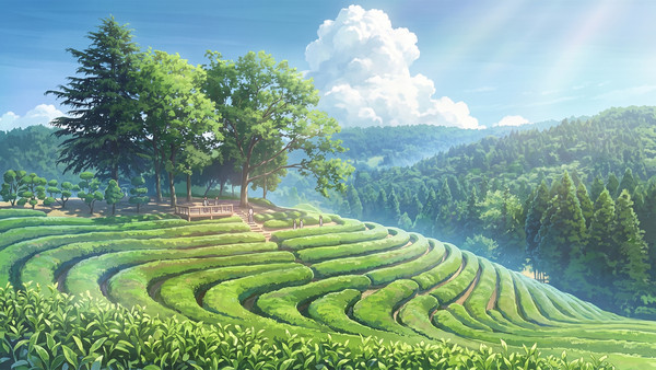 [時間差分アリ]夏の茶畑の風景2 - 1/16