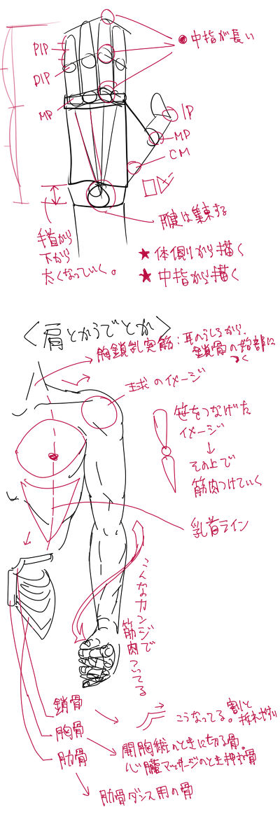 手とか腕とかメモ